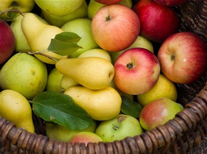 peras-manzanas-blog-humana-medicina-prepagada
